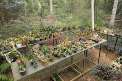 Waisenhaus Baddegama 2026