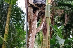 Watertank