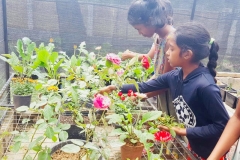 Garten Projekt