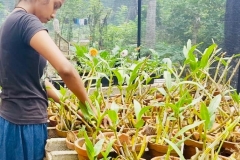 Garten Projekt